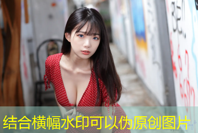 比赛乒乓球台哪个好五星体育直播在哪看