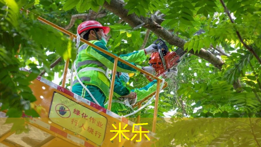 米乐：网球拍选多少磅的比较好