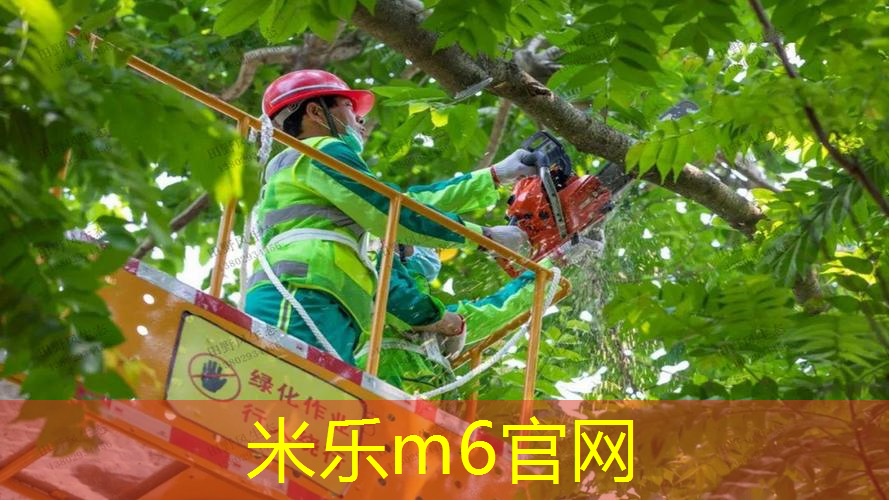 网球拍打着玩还是打着