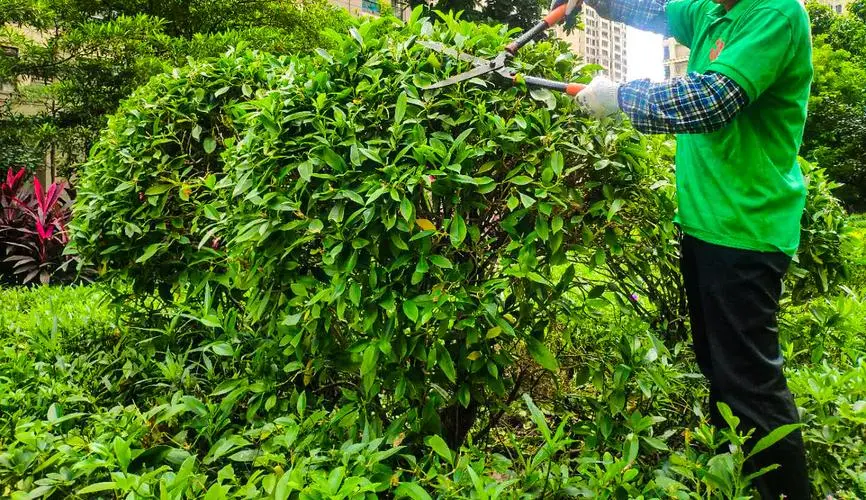 mile·米乐m6：玩具布网球拍生产基地