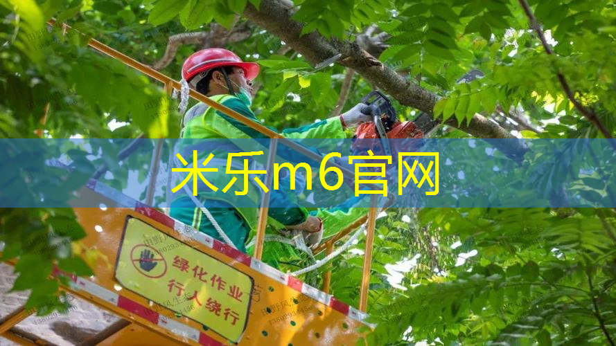 米乐m6官网：乒乓球台反拍发球