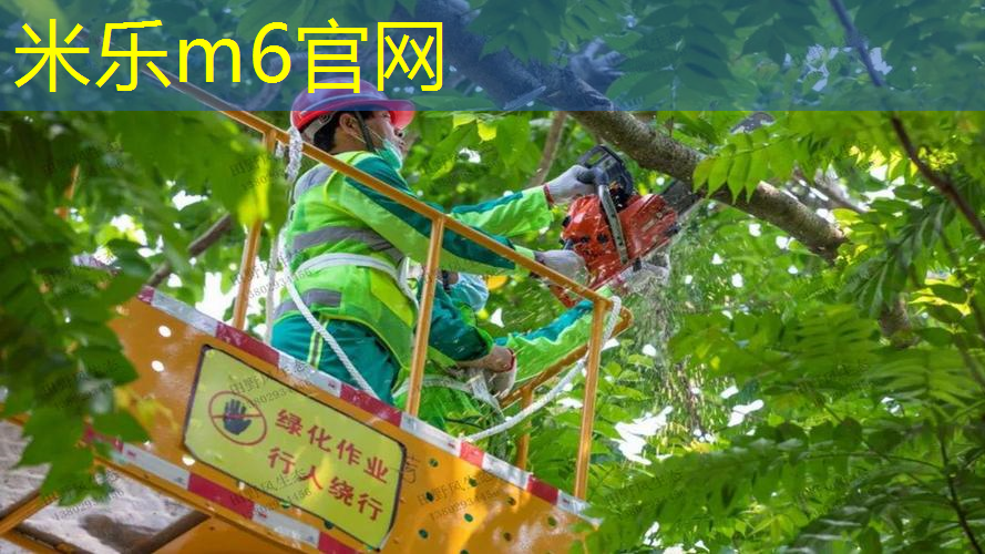 mile米乐m6官网：燕郊哪里有乒乓球台的地方