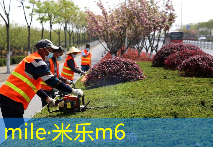 mile·米乐m6：乒乓球台前后对比