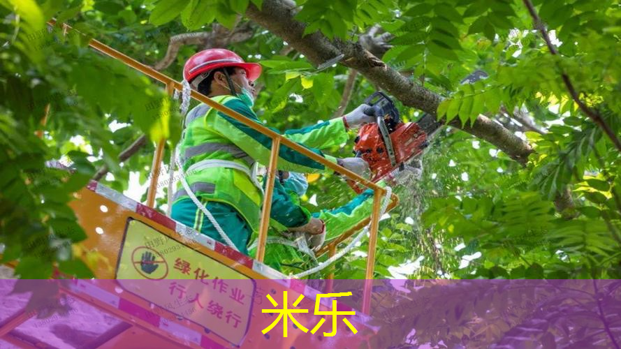 mile米乐m6官网：儿童篮球训练器材