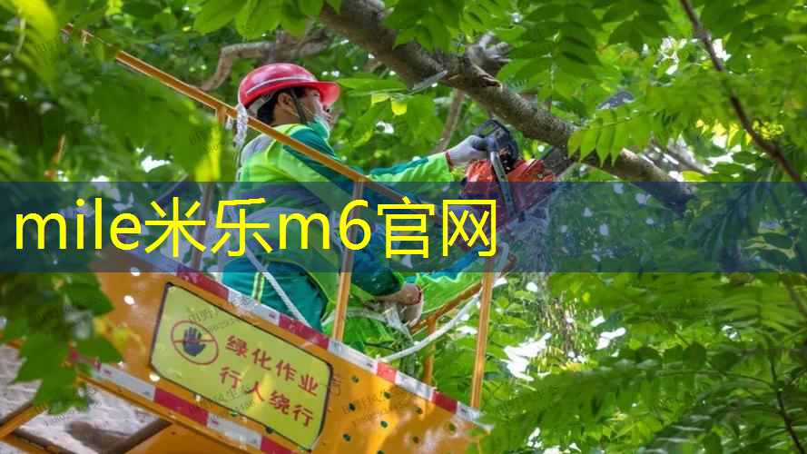 乒乓球台子有多长