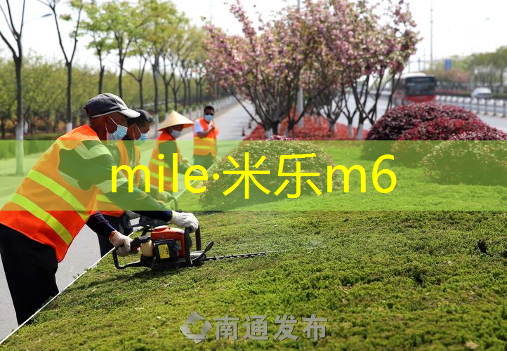 王子纹身网球拍怎么样好看吗_