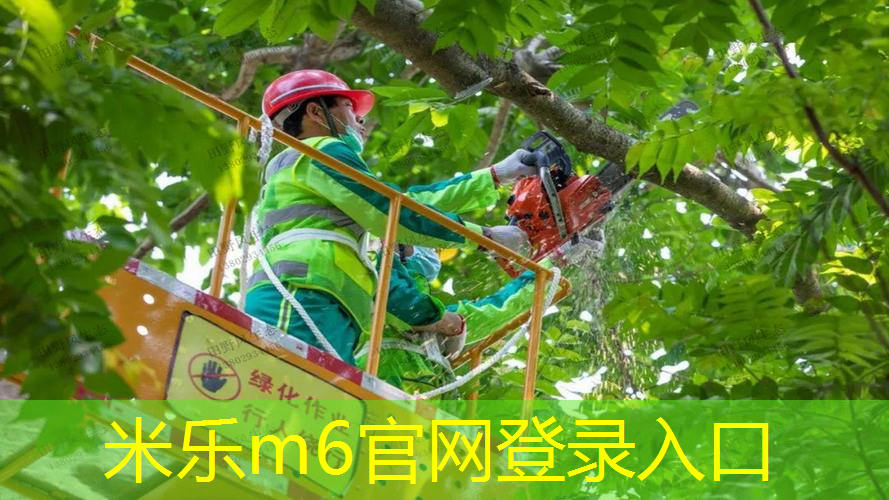 网球拍打着玩还是打着