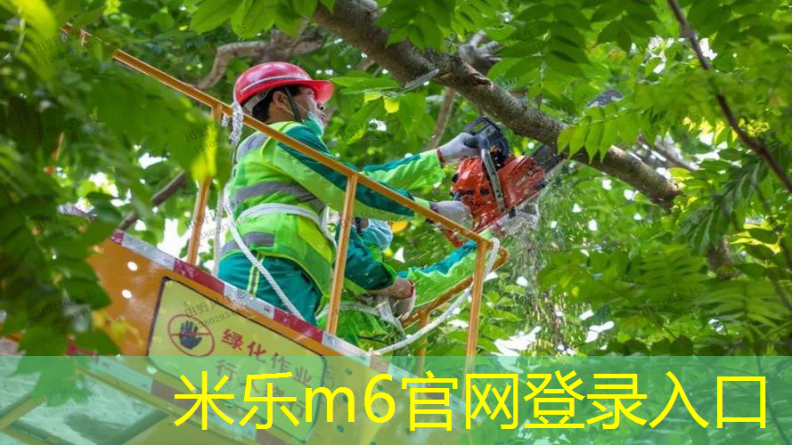 排球比赛中如何正确拦网防守？