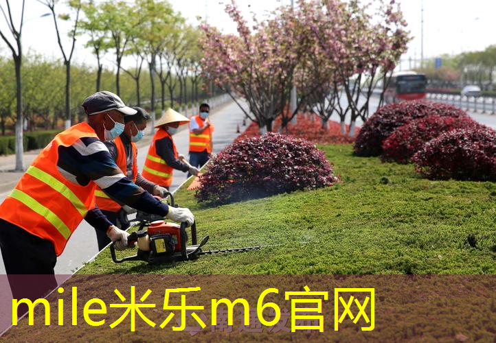 彩色颗粒材质给塑胶跑道增加哪些功能？