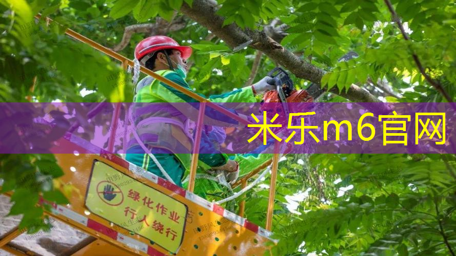 儿童篮球训练器材